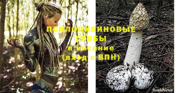 твердый Балахна